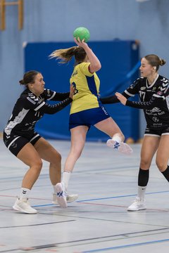 Bild 251 - F HSG Pinnau2 - Rellinger TV2 : Ergebnis: 27:20